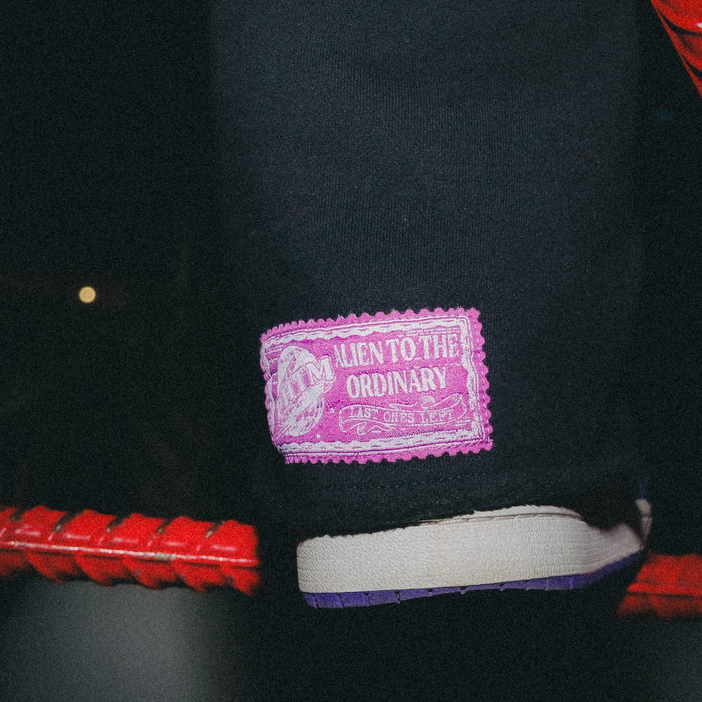 Night Crawler Flared Sweatpants